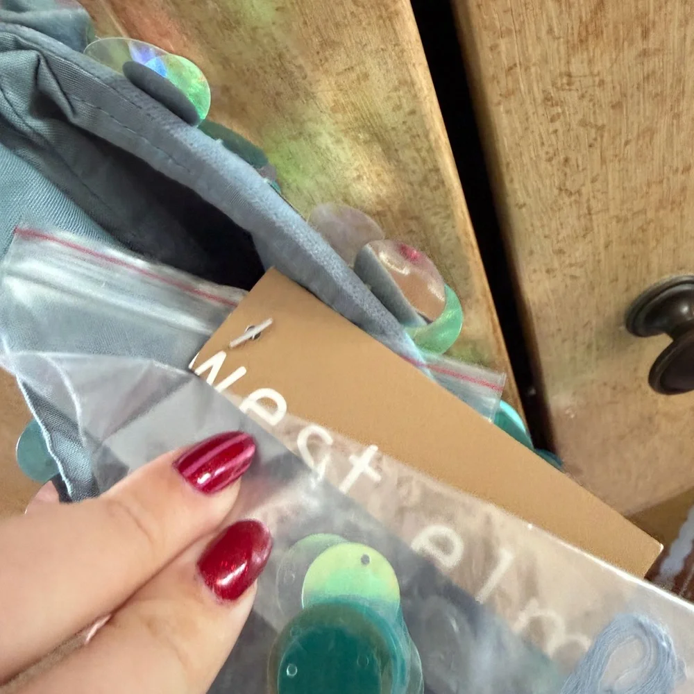 Sequin Stockings West Elm set of 4